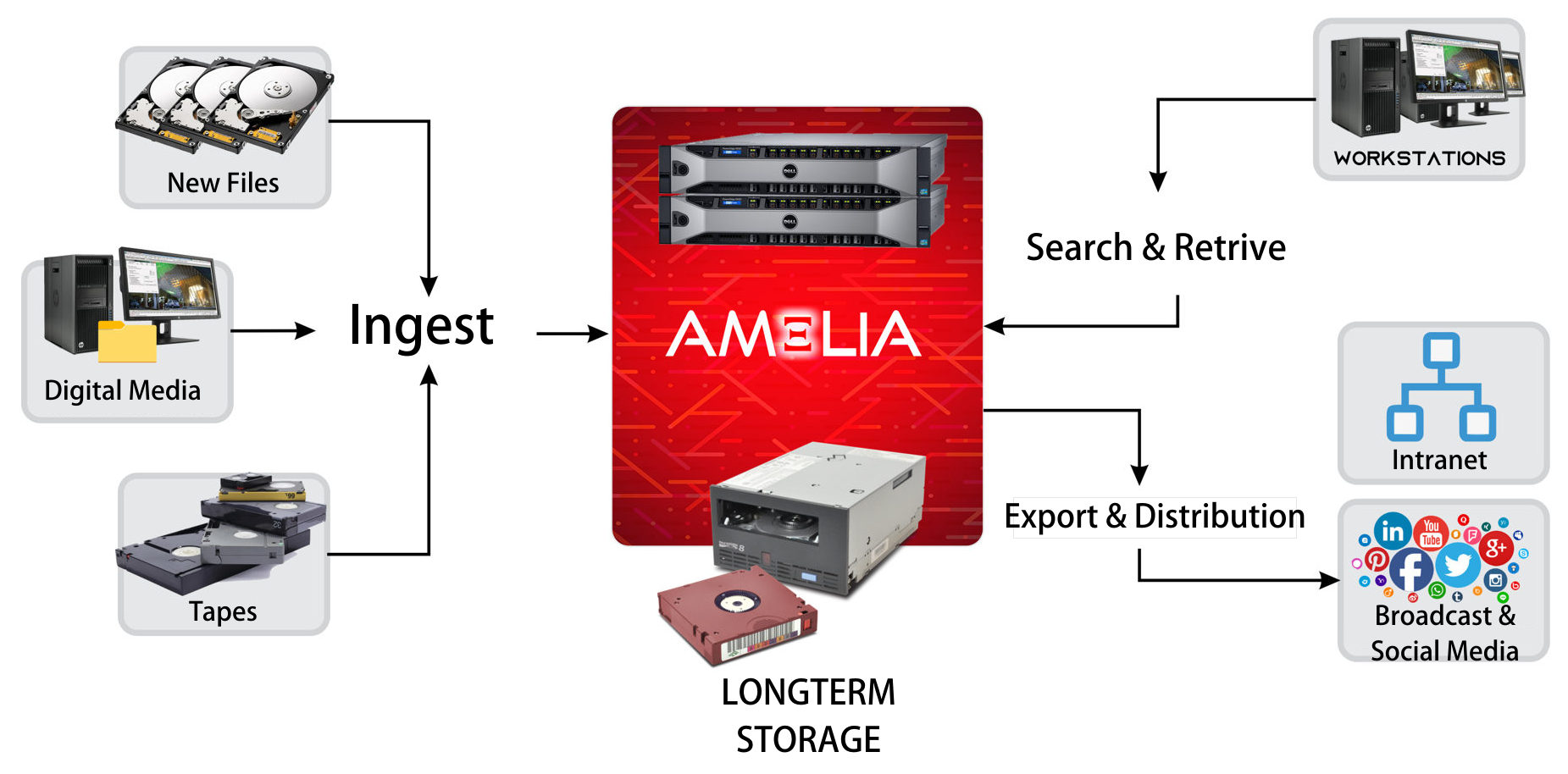 AMELIA Workflow Amelia Workflow Scheme